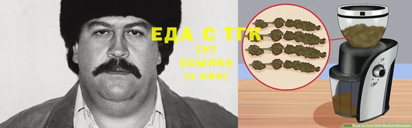 гидра Рославль