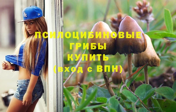 твердый Ростов